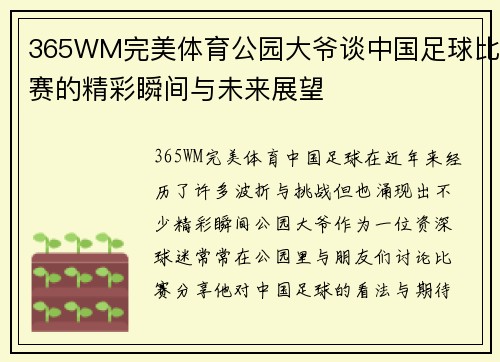 365WM完美体育公园大爷谈中国足球比赛的精彩瞬间与未来展望